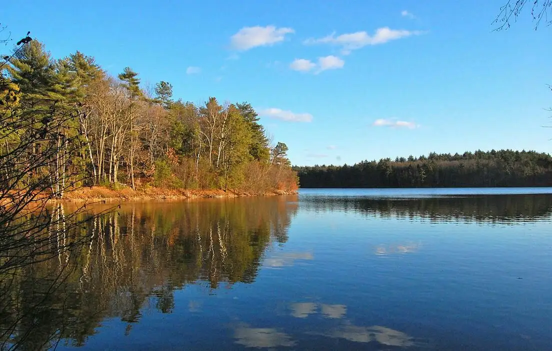 Thoreau’s bean field : Walden growth is not the beans of the beans